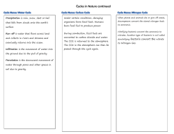Cycles in Nature Notes Complete