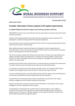 Consider `alternative` finance options to fit capital requirements