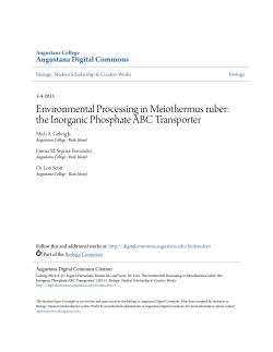 the Inorganic Phosphate ABC Transporter