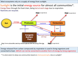 This begins to highlight the problem with our diet