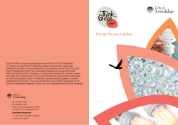 Energy Efficient Lighting