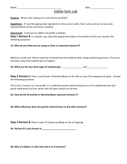*Edible Soil* Activity
