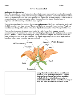 Flower Dissection