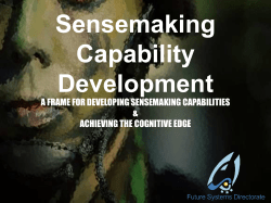 Sensemaking Capabilities