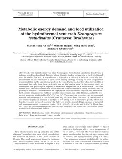 Metabolic energy demand and food utilization of the hydrothermal