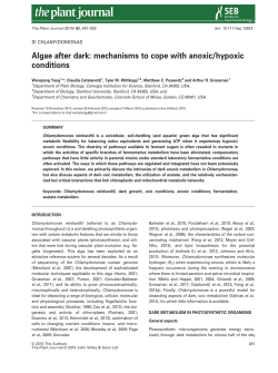 Algae after dark: mechanisms to cope with