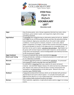 STEM Flicks: Algae to Biofuels VOCABULARY LIST - Mid