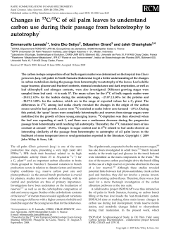 Changes in 13C/12C of oil palm leaves to understand carbon use