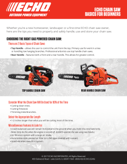 echo chain saw basics for beginners