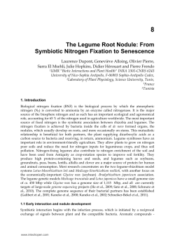 The Legume Root Nodule: From Symbiotic Nitrogen