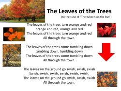 The Leaves of the Trees