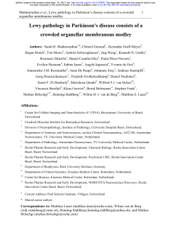 Lewy pathology in Parkinson`s disease consists of a