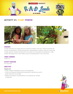 activity #1: plant power!