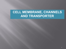7. Cell membrane Channel and Transporter