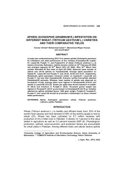 (triticum aestivum l.) varieties and their comparative yields