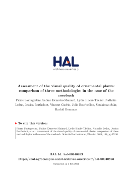 Assessment of the visual quality of ornamental plants