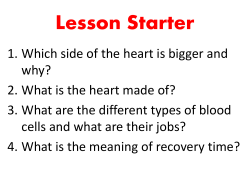 lesson-6-the-lungs-and-gas-exchange