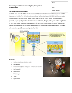 floating leaf lab - Mayfield City Schools