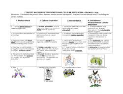 Concept Map &ndash; Photosynthesis and Cellular Respiration