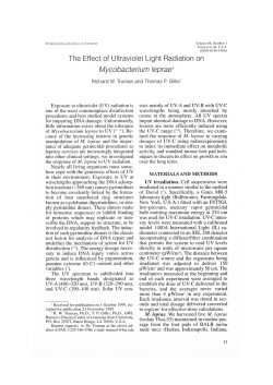 The Effect of Ultraviolet Light Radiation on Mycobacterium leprael