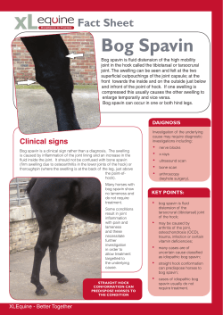 Bog Spavin - Scarsdale Veterinary Group