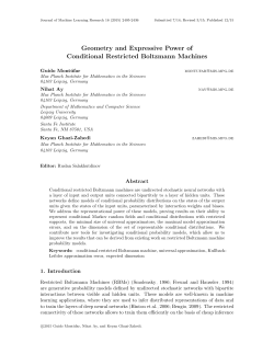 Geometry and Expressive Power of Conditional Restricted