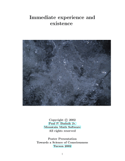 Immediate experience and existence