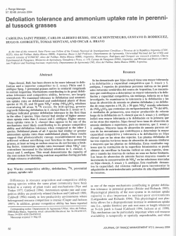 Defoliation tolerance and ammonium uptake rate in perenni