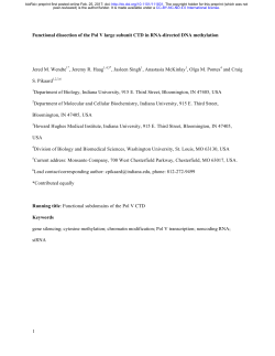 Functional dissection of the Pol V large subunit CTD in