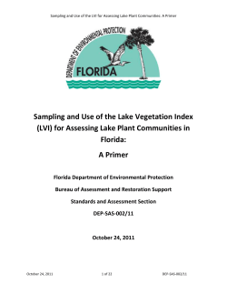 LVI Primer - Florida Administrative Code