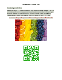 Full Skin Pigmentation Notes