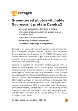 Green to red photoswitchable fluorescent protein Dendra2