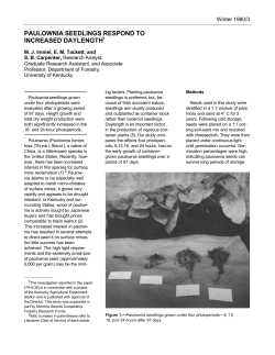 PAULOWNIA SEEDLINGS RESPOND TO INCREASED DAYLENGTH