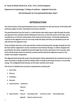 Present in acid-secreting part of the stomach. Gastrin acts mainly by