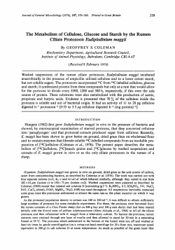 The Metabolism of Cellulose, Glucose and Starch by