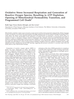 Oxidative Stress Increased Respiration and Generation of Reactive