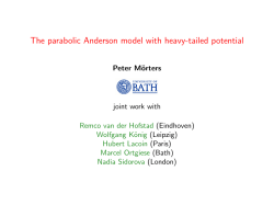 @let@token The parabolic Anderson model with heavy