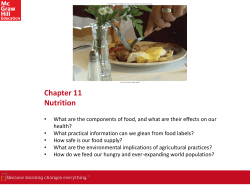 The Nitrogen Footprint of Foods