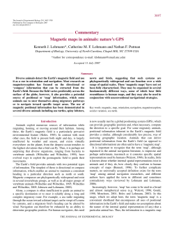 Commentary Magnetic maps in animals: nature`s - UNC