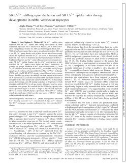 SR Ca2 refilling upon depletion and SR Ca2 uptake rates - AJP-Cell