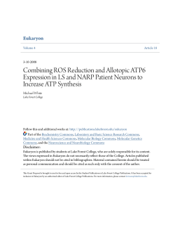 Combining ROS Reduction and Allotopic ATP6 Expression in LS