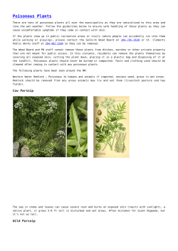 Poisonous Plants - RM of St. Clements