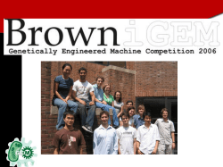 The Tri-stable Toggle Switch