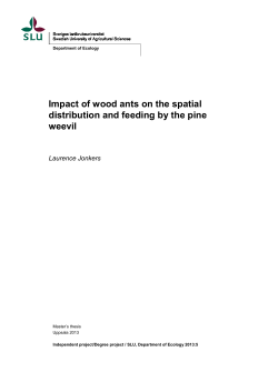 Impact of wood ants on the spatial distribution and feeding by
