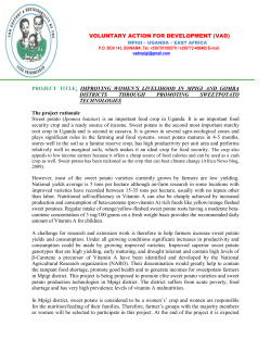 concept paper.lumonde