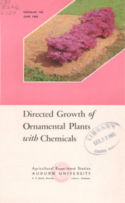 Directed Growth of Ornamental Plants with Chemicals