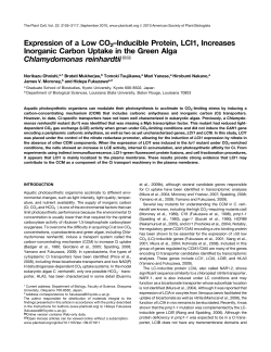Expression of a Low CO2&ndash;Inducible Protein, LCI1