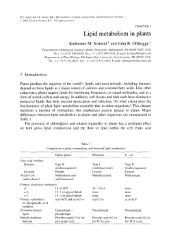 Lipid metabolism in plants