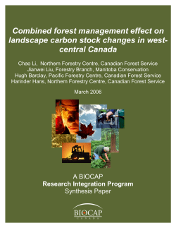 8. Combined Forest Management Effect on Landscape Carbon