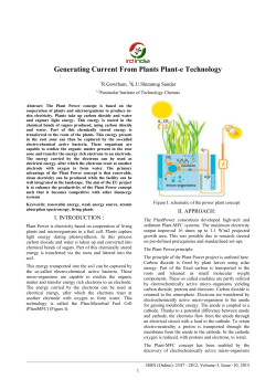 Generating Current From Plants Plant-e Technology